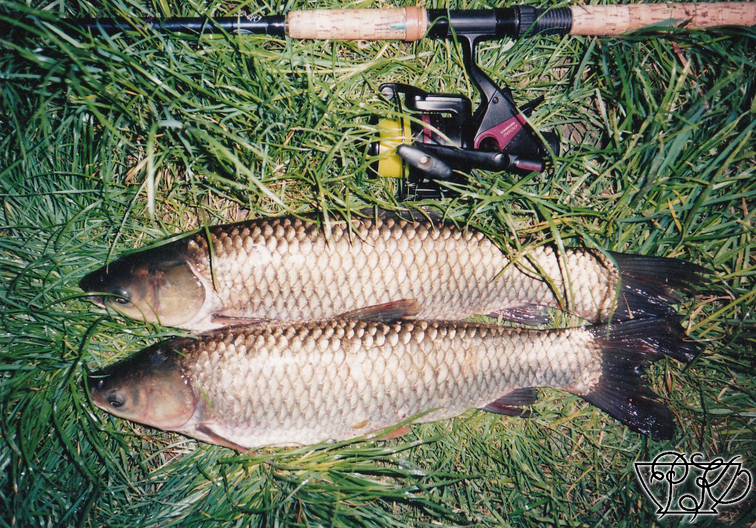 16; Amuři, 20.5.99, Mastník 1