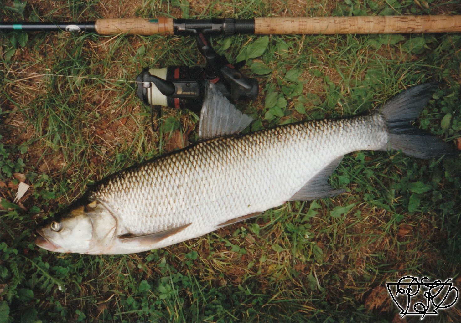 18; Bolen, 22.7.99, ÚN Orlík