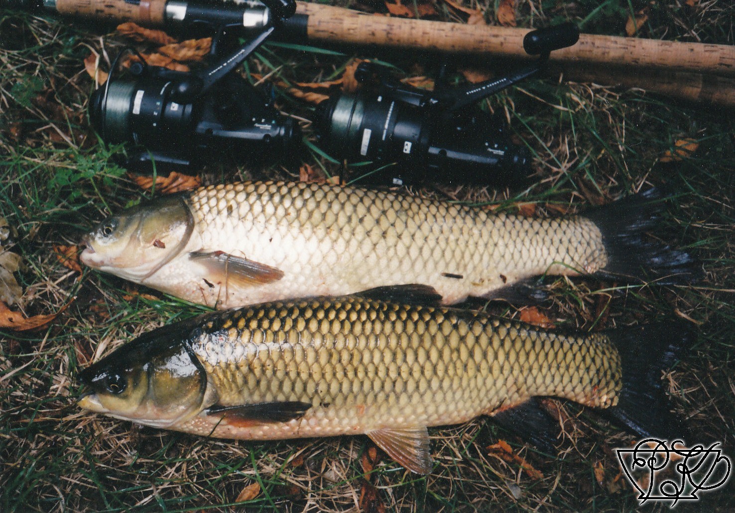 25; Amuři, 28.8.00, Mastník 1