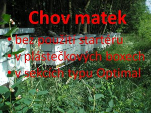 chov-matek-pp.jpg