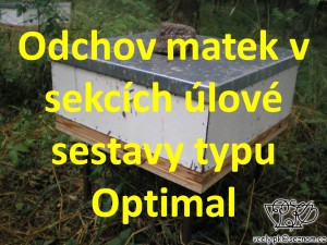 sekce-typu-optimal-pp.jpg