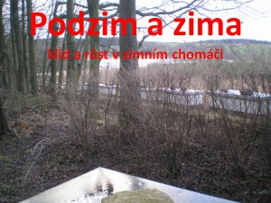 podzim-a-zima.jpg