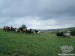 P7100105.jpg